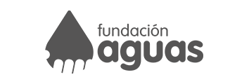 fundacion